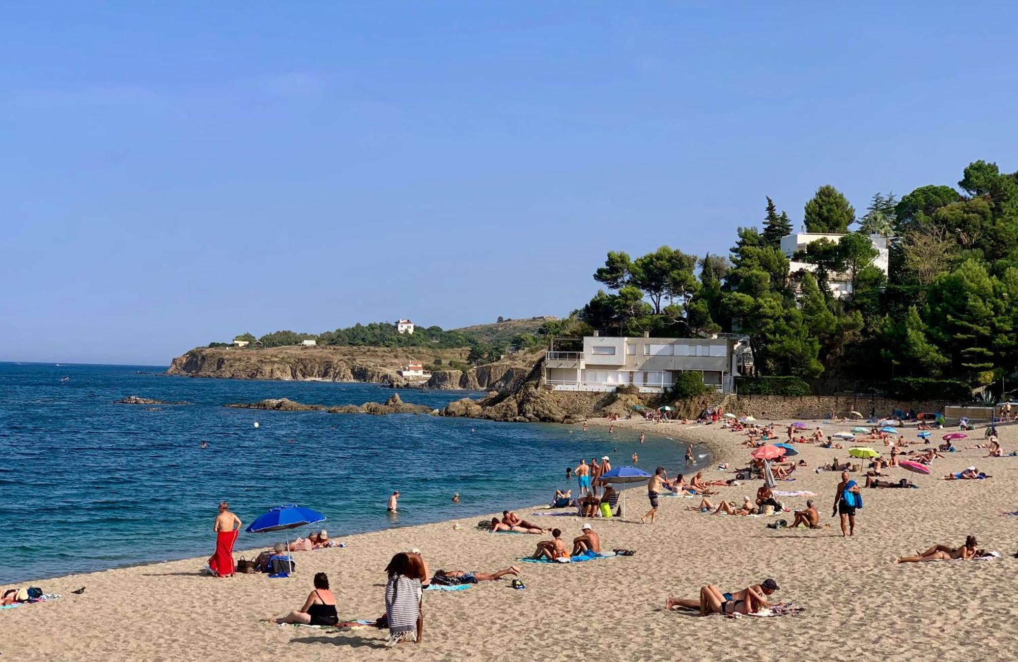 Studio Moderne Argeles Sur Mer.La Plage A Pieds, Espagne A 30Mn Exterior photo